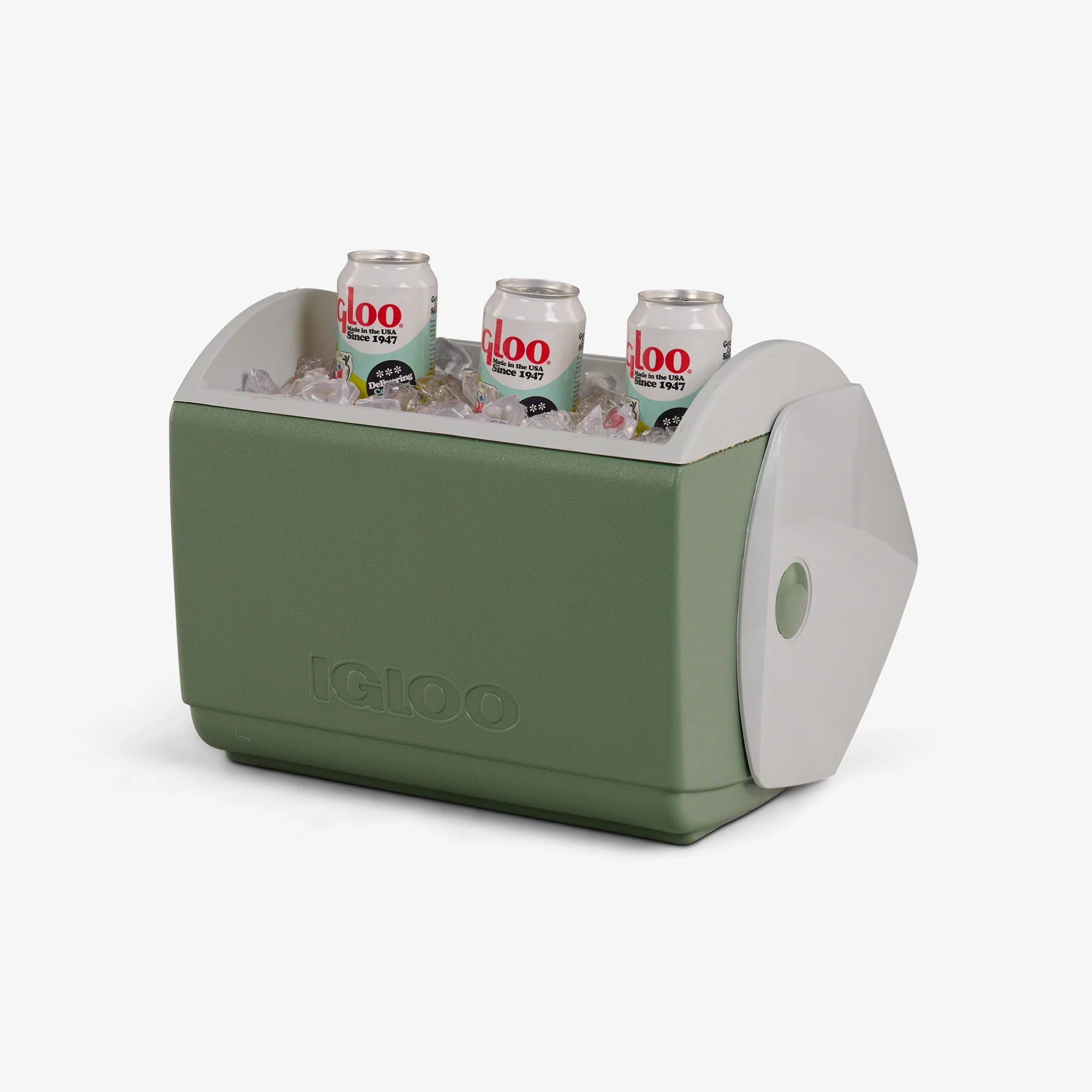 lgloo Outdoor ColdMax Peanuts Take Care of the Earth ECOCOOL Playmate Elite 16 Qt Cooler - Image 3